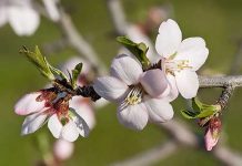 Μπάμπης Τσουρδαλάκης Ευχαριστήριο – Λόγια καρδιάς arxiki_mpampis