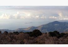 Ο Μελαμπιανός Πρόσκοπος Ν Μελιδονιώτης arxiki_n_melidoniotis